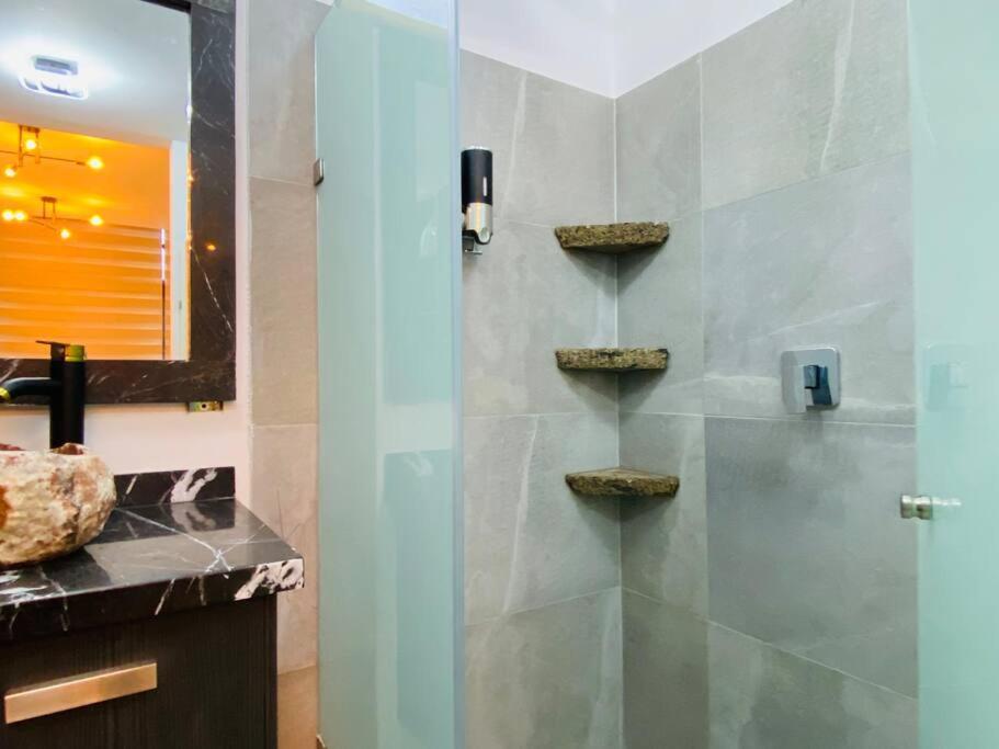 Luxurious And Modern In North Zone Aguascalientes