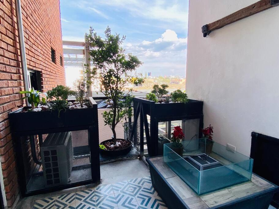 Luxurious And Modern In North Zone Aguascalientes